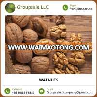 Wholesale Walnut Supplier/ Walnut Kernel at Low Price