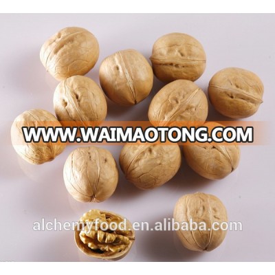 Chinese wholesale walnuts in shell price