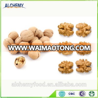 Extra Light Half Walnut Kernel